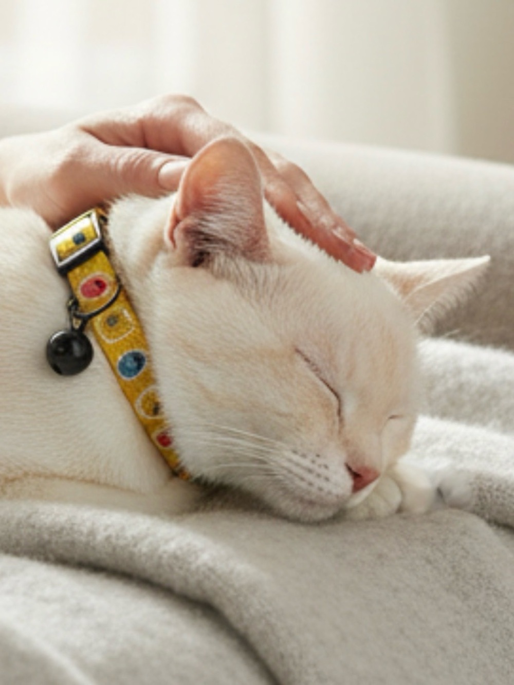 NWT SassyMeow/Disney Winnie the Pooh Breakaway Adjustable Cat Collar Yellow S